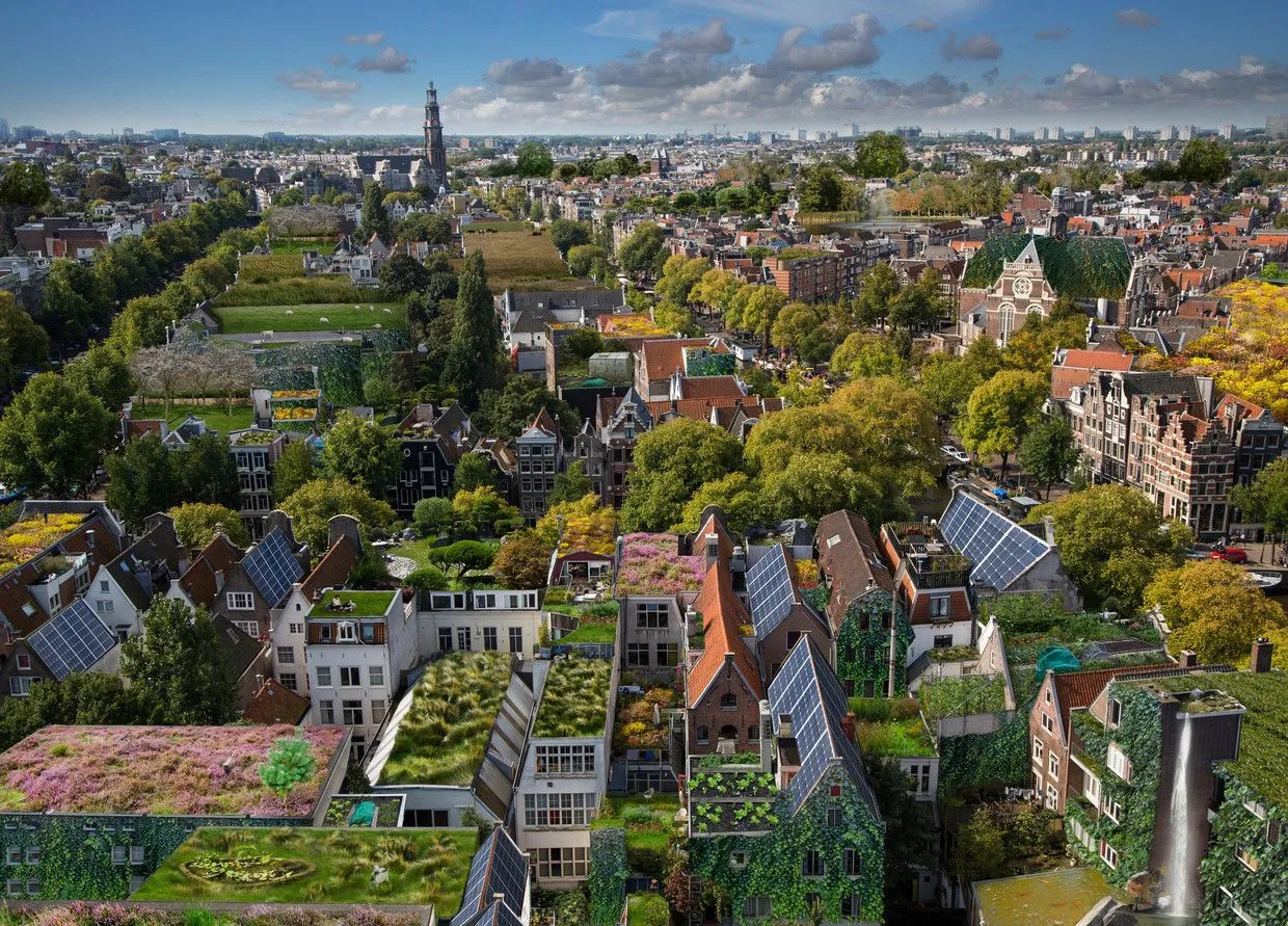 Stad van bovenaf met daken vol sedum, bloemen en zonnepanelen