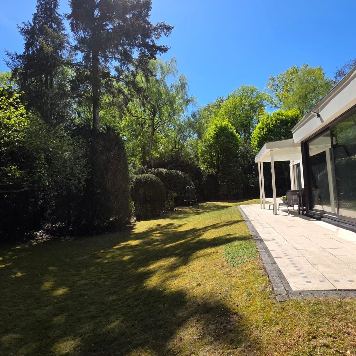 Hoge laurierhaag onderhoud en snoeien door hovenier in Hilversum
