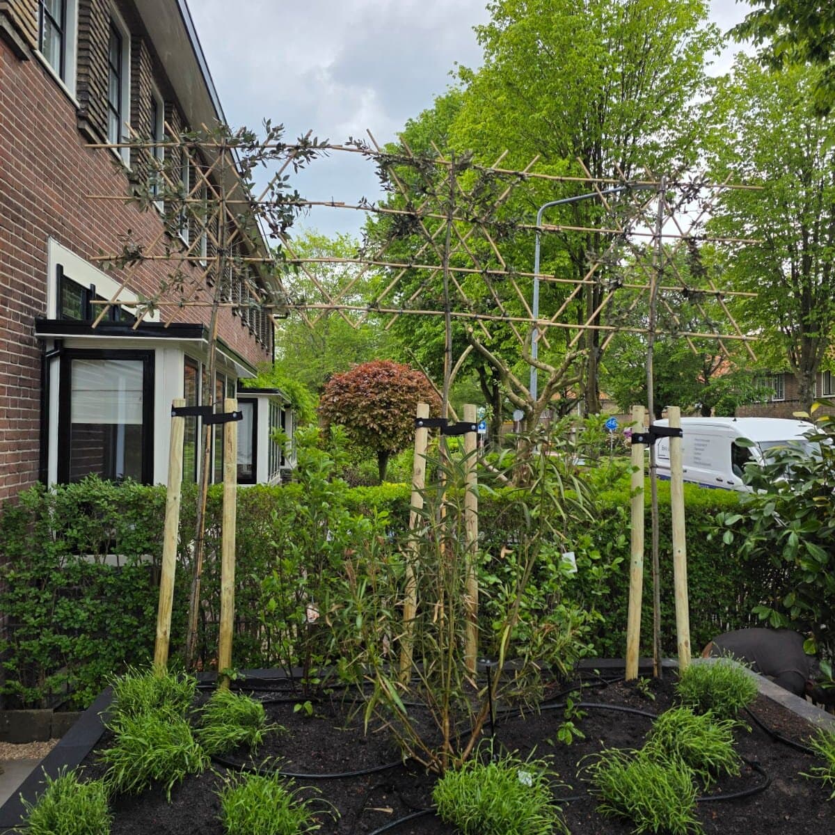 Tuinpad van Portugese tegels langs laurierhaag in Hilversum